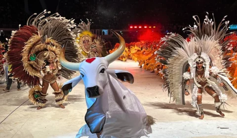 Festival de Parintins: veja quais itens receberam menores notas no Garantido