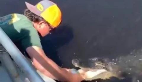 Homem usa jacaré para abrir lata de cerveja e vídeo impressiona