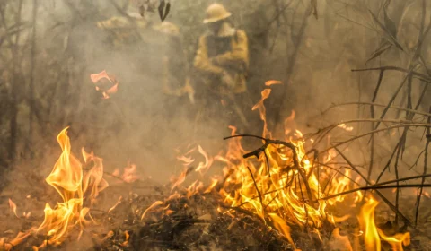 Política Nacional para redução de incêndios segue para sanção