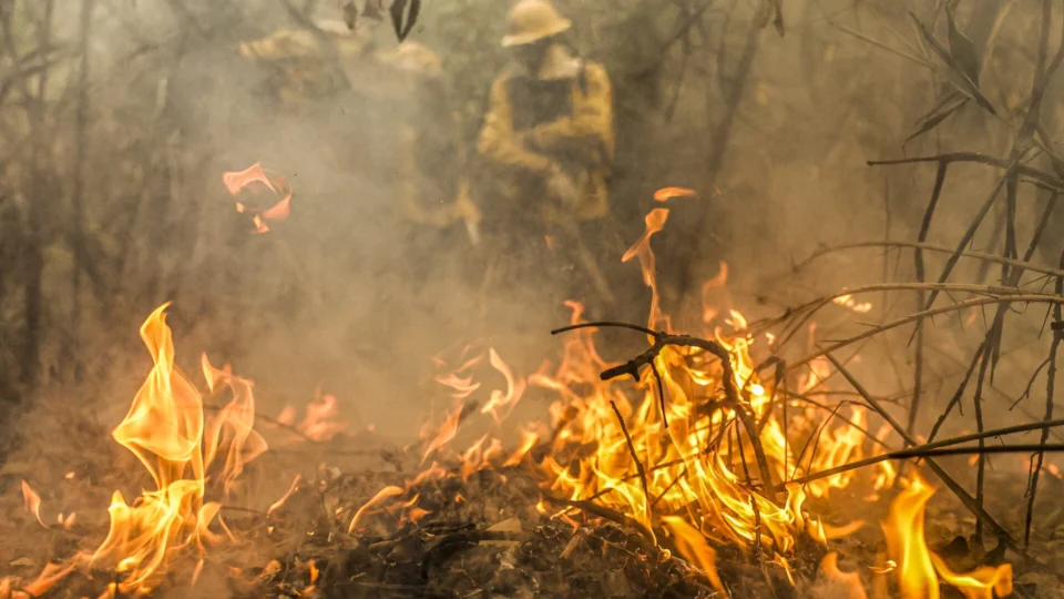 Política Nacional para redução de incêndios segue para sanção
