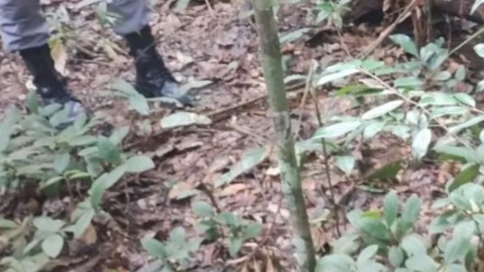 Adolescente e três homens matam e ocultam corpo de jovem em área de mata no AM