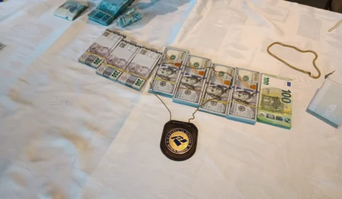 Operação Rei do Gado revela sonegação na venda de gado no TO