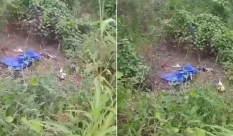 Vídeo: ossada humana é encontrada por homem que filmava um tamanduá em Boa Vista
