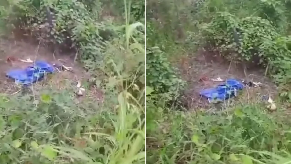 Vídeo: ossada humana é encontrada por homem que filmava um tamanduá em Boa Vista