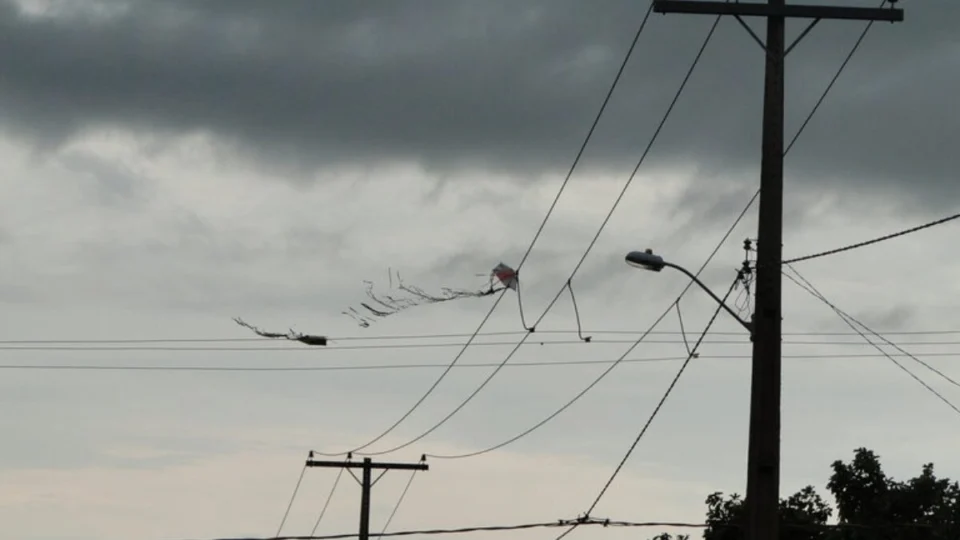 Pipas causam aumento na interrupção de energia no Tocantins