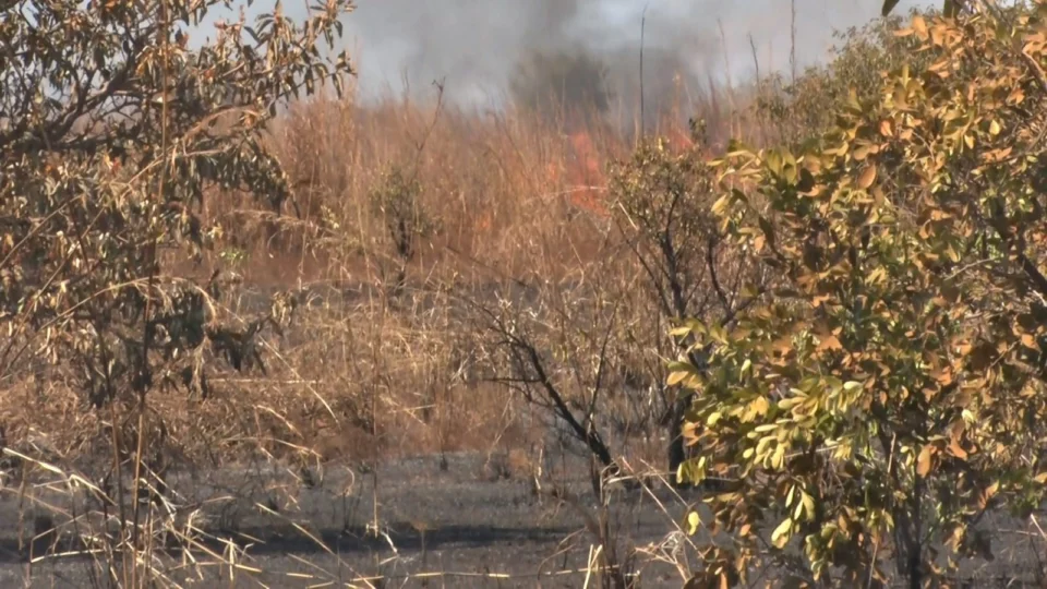 Naturatins suspende autorização de queima controlada no TO