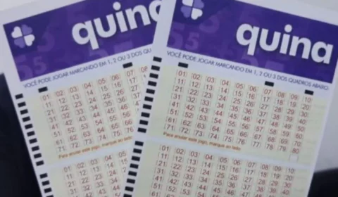 Quina de hoje (29/07): veja resultado do concurso 6493