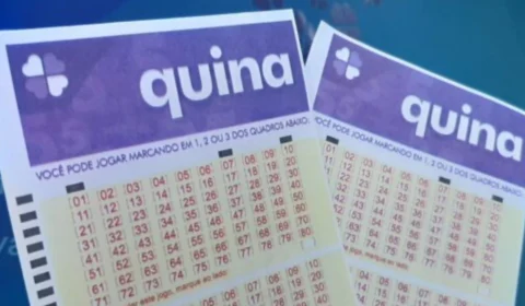 Quina de hoje (30/07): veja resultado do sorteio 6494