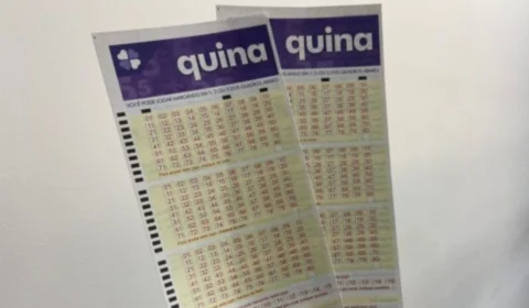 Quina de hoje (31/07): veja resultado do sorteio 6495