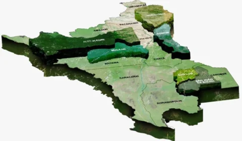 Seis municípios de Roraima celebram 42 anos de criação, nesta segunda-feira (1º)