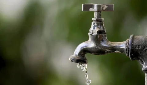 Seca na Amazônia: cientistas sugerem alternativa do semiárido