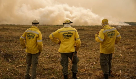 STJ suspende greve de servidores federais do meio ambiente