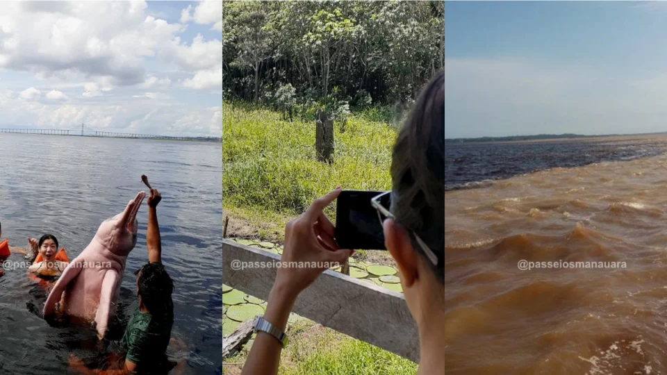 Turismo em Manaus: veja 5 atividades para conhecer a Amazônia