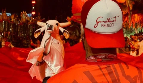 VÍDEO: Gandhicats dança com Garantido no Festival de Joinville