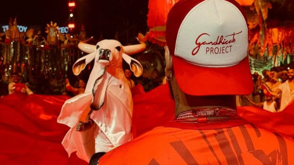 VÍDEO: Gandhicats dança com Garantido no Festival de Joinville
