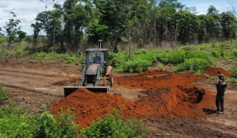 Operação destrói 11 pistas de pouso clandestinas na Terra Yanomami