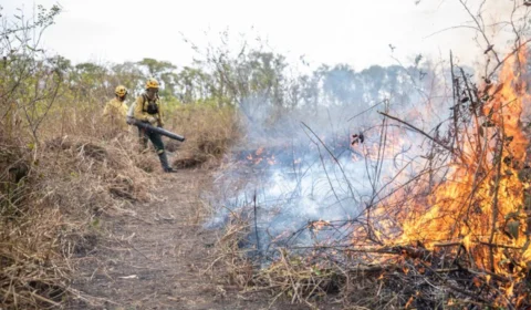 PF intensifica ações contra queimadas e crimes ambientais