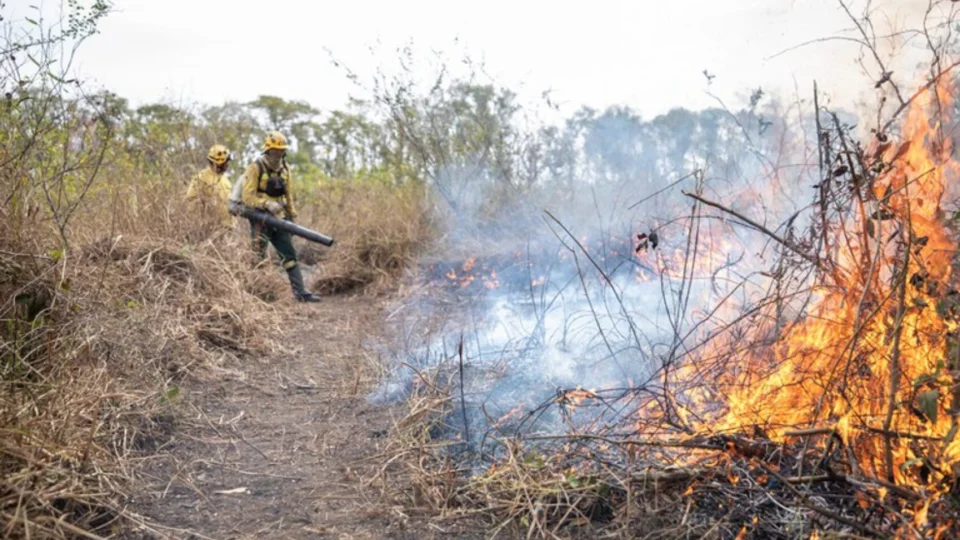 PF intensifica ações contra queimadas e crimes ambientais