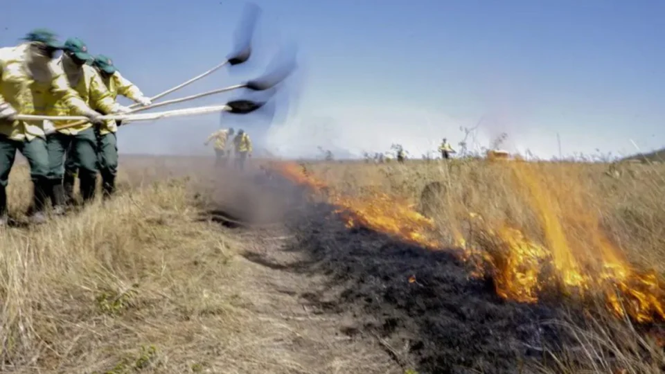 DF e 19 estados terão reforço no combate a incêndios florestais