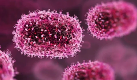 Saiba quais são os países que registraram casos da Mpox