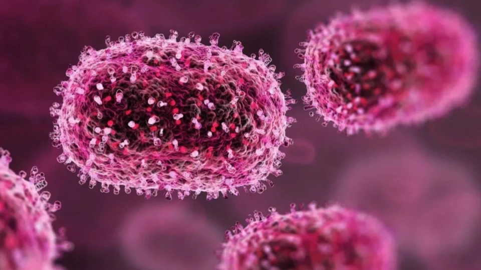 Mpox: saiba qual é a taxa de mortalidade da doença