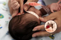 Febre Oropouche: doença pode provocar surto de microcefalia