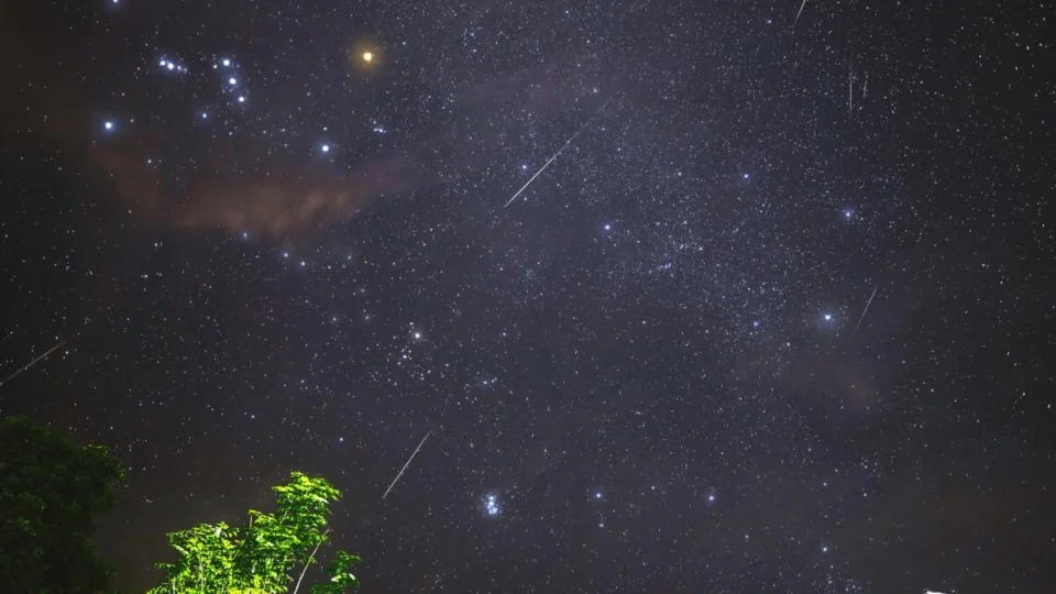 Chuvas de Meteoro: Saiba como assistir ao espetáculo das Perseidas no AM