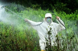 FGV diz que herbicida pode estar associado à mortalidade infantil