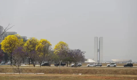 Qualidade do ar no DF deve melhorar, mas fumaça continua