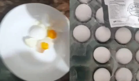 Calor cozinha ovos esquecidos em carro no Tocantins; vídeo