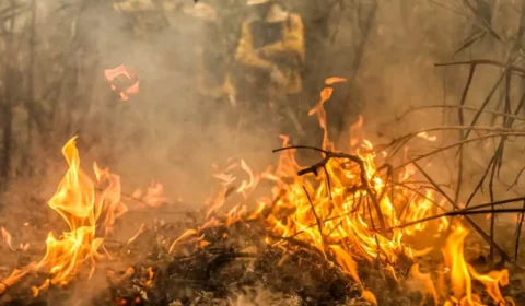 Polícia Federal é acionada com suspeita de novo ‘dia do fogo’