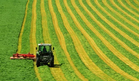 Roraima em evidência: entrevista sobre investimentos agrícolas é destaque na mídia da Guiana