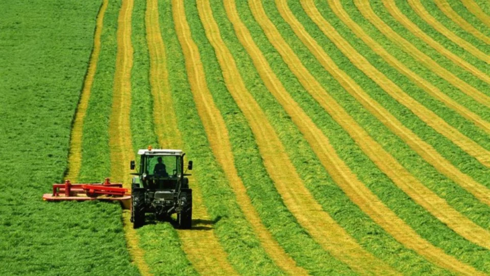Produção de grãos em Roraima triplica em sete anos e impulsiona crescimento econômico