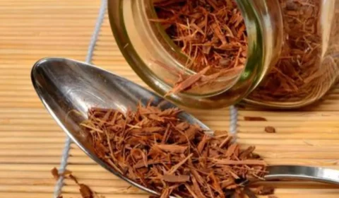 Catuaba: conheça o chá afrodisíaco e seus benefícios