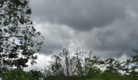 Confira previsão do tempo para este domingo (11) em Manaus