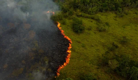 Ibama prevê mais dois meses críticos de queimadas no Brasil