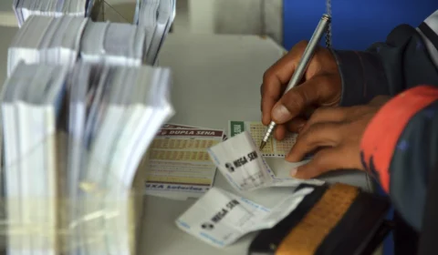 Quina de hoje (03/08): veja os números sorteados no concurso 6497