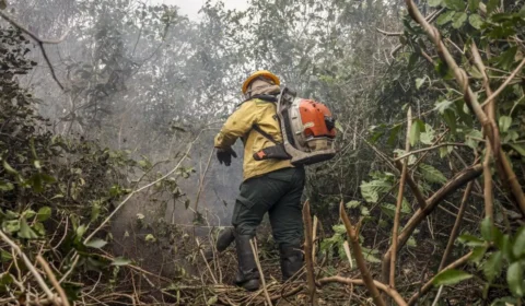 STF manda governo intensificar combate aos incêndios na Amazônia