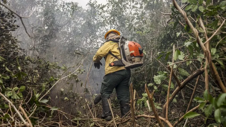 STF manda governo intensificar combate aos incêndios na Amazônia