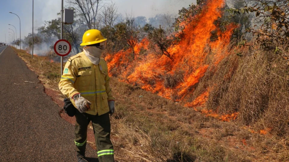 Incêndios e clima de deserto castigam o Distrito Federal 