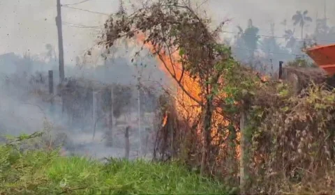 Focos de queimadas aumentam no Acre em 2024