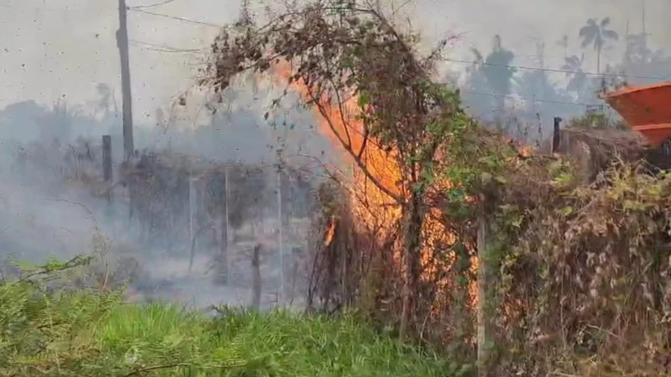 Focos de queimadas aumentam no Acre em 2024