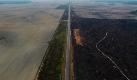 BR-319: AGU derruba decisão que impede obras