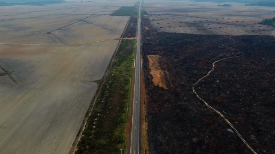 BR-319: AGU derruba decisão que impede obras