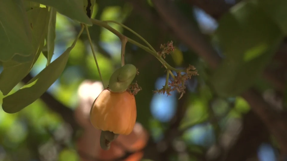Confira o clima para esta quarta-feira (14) no Tocantins