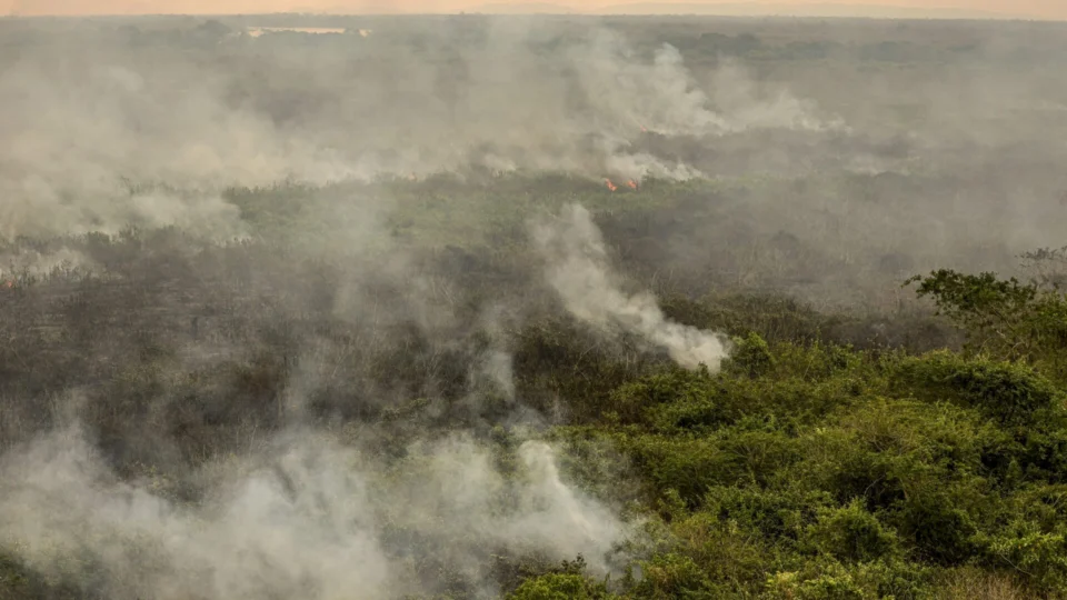 Fogo em SP: Defesa Civil mantém alerta para 48 municípios