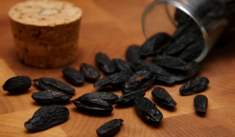 Cumarú é bom para quê? Conheça a planta amazônica e suas utilidades 