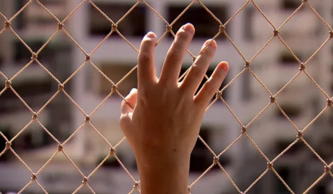 Feminicídio em SP: quase 70% dos casos aconteceram dentro de casa