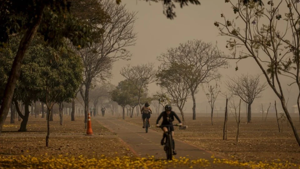 Fumaça em Rondônia: Voos cancelados pelo terceiro dia consecutivo devido à baixa visibilidade