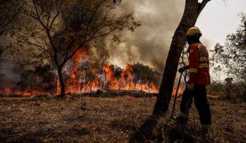 PF abre mais de 30 investigações para apurar incêndios criminosos no Brasil 